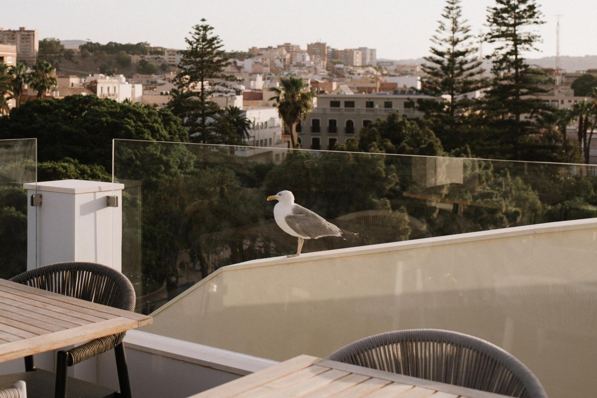 Hotel Melilla Centro エクステリア 写真